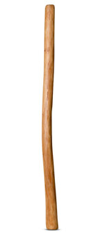 Medium Size Natural Finish Didgeridoo (TW527)